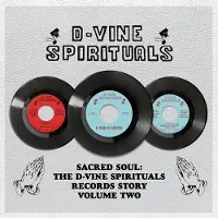 Membran 17% Fee D-Vine Spirituals Records Story Vol.2
