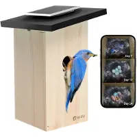Birdfy Nestkast Ebony Lite Slim Vogelhuisje Op Zonne-energie met Camera en AI-Vogelherkenning - EPPAMBNI8802110