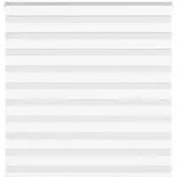 vidaXL Zebra Blind 150x100 cm stofbreedte 145,9 cm polyester wit