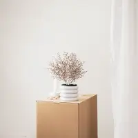 Housevitamin Brons gouden plant in zwarte pot- Kunststof