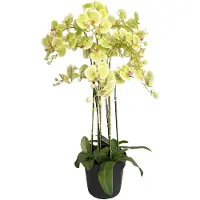 Buitengewoon Boet Orchidee Kunstplant 9-tak 110 cm - Groen