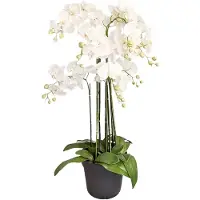 Buitengewoon Boet Orchidee Kunstplant 9-tak 110 cm - Wit
