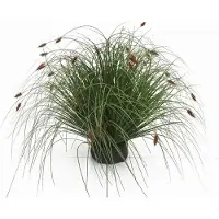 Buitengewoon Boet Kunstplant Kattestaart Mini - 55 cm