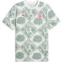 Puma Functioneel shirt 'AC Milan' groen / rood / wolwit