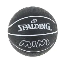 Spalding Spaldeen Mini Basketbal - Kleine Oefenbal