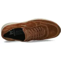 Mephisto Driss