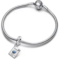 Pandora Armband Charms 792680C01