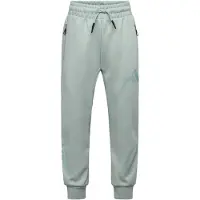 Adidas Sportbroek 'Z.N.E.' pastelgroen