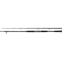 Shimano Fishing Beastmaster Lure Catfish Rod Zilver 2.20 m / 120 g