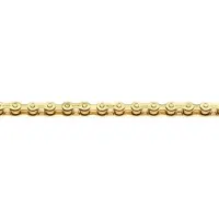 Izumi Chain Standard Track Ketting