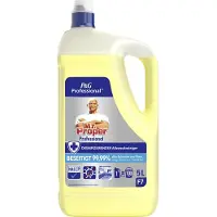 Meister Proper P&G Professional Meister allesreinier