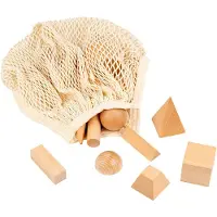 Educo Geometrische vormen | Vormen herkennen | Houten speelgoed | Educatief speelgoed - Kinderspeelgoed - Incl. opbergnetje - Vanaf 3 jaar