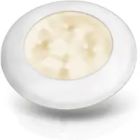 Hella Marine Plas Warm White Courtesy Light 12v Transparant