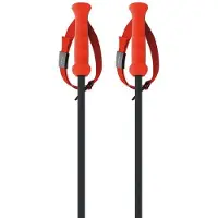 Fischer Rd 13 Carbon Stokken