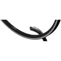 Ryde Andra 10 Disc Velg