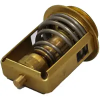 Bukh Dv10/20/24/29/32 75ºc Thermostat Goud