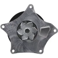 Valeo 529697 Waterpomp