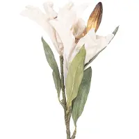 Clayre & Eef Kunstbloem 88 cm Beige Kunststof