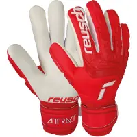 Reusch Torwarthandschuhe Attrakt Freegel Silver