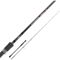 Jatsui Intrepid Type S Jigging Rod Zilver 2.03 m / 80-200 g