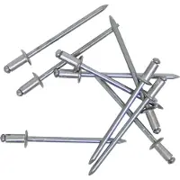 Kippers Rijssen Blindnieten 5,0x12mm lange,Alu