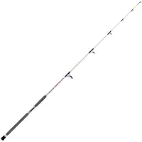 Expert Predator Skipjack Bottom Shipping Rod Zilver 2.40 m / 100-300 g