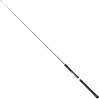 Daiwa Legalis Jigging Rod Zilver 1.91 m / 120 g