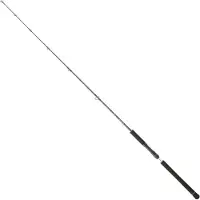 Daiwa Legalis Vertical Jigging Rod Zilver 1.91 m / 20-80 g