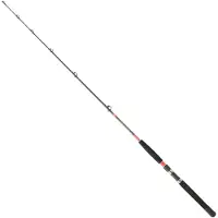 Daiwa Megaforce Trolling Rod Zilver 1.70 m / 15-30 Lbs