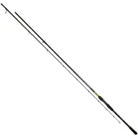 Mikado Intro Spinning Rod Zilver 2.40 m / 5-30 g