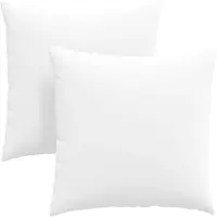 vidaXL Zitkussens 2 st Stof Wit 60 x 60 cm