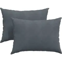 vidaXL Zitkussens 2 pcs Donkergrijs 70 x 50 cm Corduroy stof