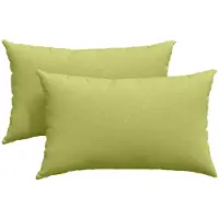vidaXL Zitkussens 2 st Stof Lichtgroen 50 x 30 cm