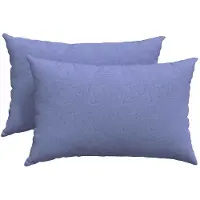 vidaXL Zitkussens 2 st Stof Jeans Blauw 60 x 40 cm