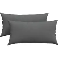 vidaXL Zitkussens 2 st Stof Donkergrijs 80 x 40 cm