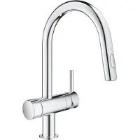 GROHE Minta - Keukenkraan met uittrekbare handdouche en stopkraan, chroom 31916000