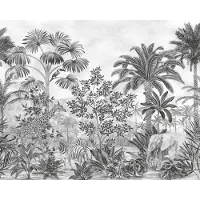 Overig Fotobehang Jungle Evolution - Zwart - 2,80m X 350cm