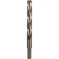 Bosch PRO Stainless Steel Metaalboor HSS-Co | DIN 338 | 13 x 101 x 151 mm - 2608577620