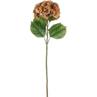 Mica Decorations HORTENSIA BRUIN - L81CM 127235 BROWN01