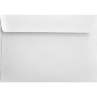 Netuno Gefactureerde witte enveloppen A5 - 162 x 229 mm - C5 - 20 stuks - HK zelfklevend met plakstrip - 120 gram - Aster Laid -