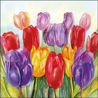 Ambiente Papieren Servetten Kleurrijke Tulpen – Colourful Tulips – 20 Stuks – 3-Laags FSC