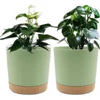 Bumper Potten Pakket van 2 16,5 cm, Bloempotten voor Binnenplanten met Afvoergaten en Verwijderbare Bodem, Onderzetter, Moderne Decoratie voor Tuinplanten (Groen, 16,5 cm)