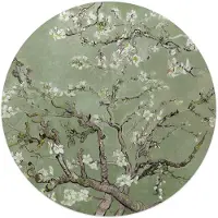 Reinders - Van Gogh - Amandelbloesem - Glasschilderij Ø 50 cm - Groen