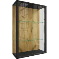 VCM Muurvitrinekast Hangende vitrinekast Glazen vitrinekast Muurvitrinekast Glas Udina
