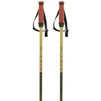 Völkl Phantastick 16 Mm Stokken