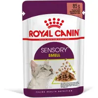 Royal Canin 48x Sensory Smell In Gravy Kattenvoer Nat 85 gr