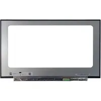 Medion LCD Scherm geschikt voor Erazer Beast X30 (240Hz)