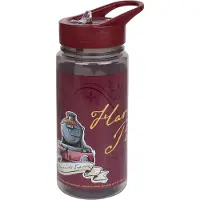 Sarcia.eu Harry Potter Hedwig Fles met mondstuk en handvat, waterfles 500ml