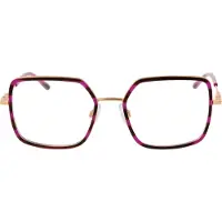Ana Hickmann Brilmontuur HIY1008 E03 52