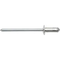 Swg 9154811025 Klinknagel met laagbolkop (Ø x l) 4.8 mm x 15.1 mm Aluminium 100 stuk(s)